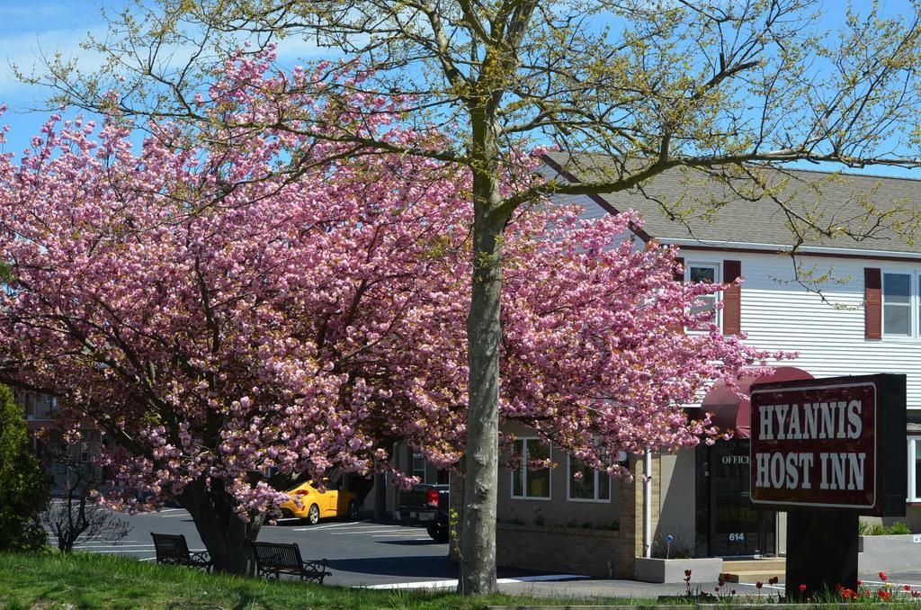 Hyannis Host Inn Dış mekan fotoğraf